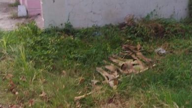 For Sale Tanah Premium di Bangil, Pasuruan, LT 245m²