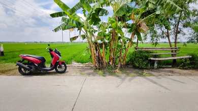 Dijual Tanah Eksklusif di Mojoanyar, Mojokerto, LT 1546m²