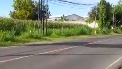 Tanah Dekat Pasar di Brondong, Cocok untuk Mendirikan Usaha