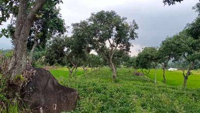 Jual Murah Tanah 3400 m2 Lokasi Strategis