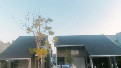 Jual Rumah Siap Tinggal di Wiyung, Surabaya, LT 312 m2