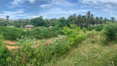 Jual Terjangkau Tanah 50000 m2 Tempat Strategis
