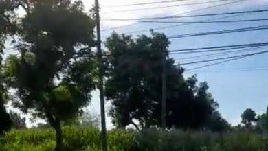 Dijual Kavling 10210 m2 Area Cluster Elit Lamongan