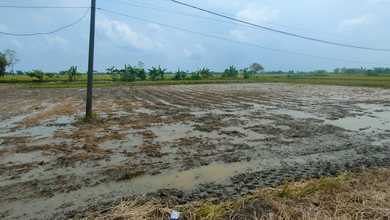 Kavling Prestisius Dijual di Benjeng, Gresik, Harga 656 Miliar