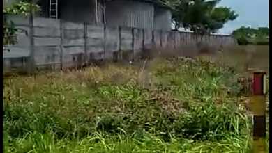 Tanah Nyaman untuk Hunian di Tuban, Tuban, Luas 40000m²