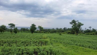 Tanah Elit Dijual di Karangasem, Karangasem, Harga 31,2 Triliun