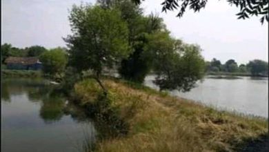 Tanah Elit Dijual di Bangil, Pasuruan, Harga 9,01 Miliar