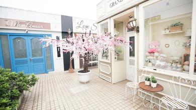 Rumah Mewah di Kawasan Citra Garden, Jakarta Barat, LB 520m², Harga 6,5 Miliar