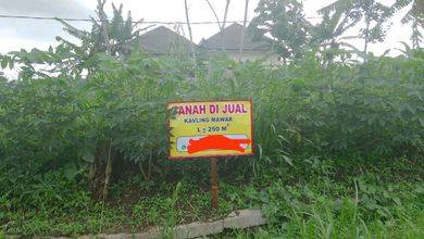 Tanah Komersial Pinggir Jalan Raya Daerah Lawang