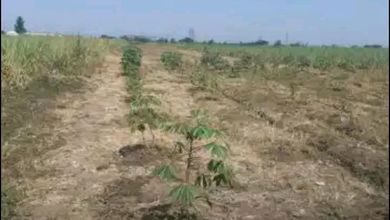 Kavling Prestisius Dijual di Jombang, Jombang, Harga 14,1 Triliun