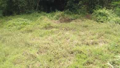 Jual Tanah di Lokasi Premium Wagir, Malang, Harga 1,4 Miliar