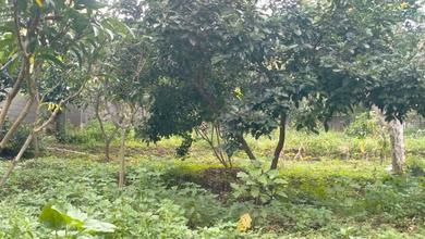 Dijual Tanah Premium di Pandaan, Pasuruan, LT 7521m²