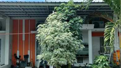 Jual Rumah Siap Huni di Rungkut, Surabaya, 2 KT, Penawaran Terbaik