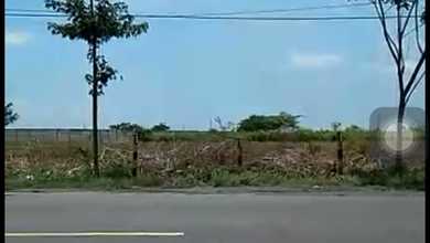 Dijual Tanah Premium di Widang, Tuban, LT 40000m²