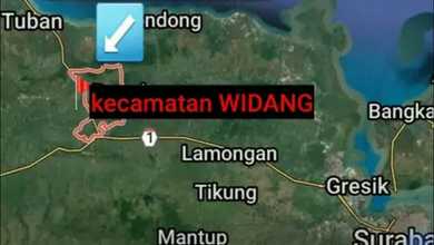 For Sale Tanah Premium di Widang, Tuban, LT 40000m²