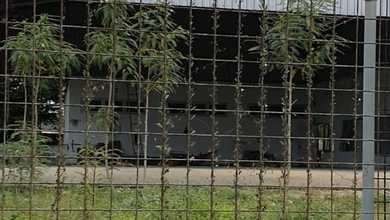 Dijual Tanah dan Bangunan Jalan Raya Bancar, Desa Margosuko Kec Bancar Tuban Cocok untuk Dibuat Pergudangan atau Bengkel