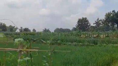Jual Murah Tanah 5573 m2 Kawasan Strategis