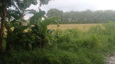 For Sale Tanah Premium di Padangan, Bojonegoro, LT 3587m²