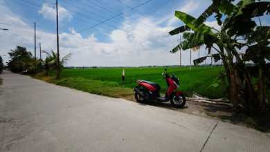 For Sale Tanah Eksklusif di Mojoanyar, Mojokerto, LT 1546m²