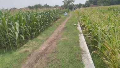 Kavling dengan Nilai Murah Daerah Sumobito Jombang