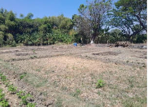 For Sale Tanah Eksklusif di Lakarsantri, Surabaya, LT 3166m²