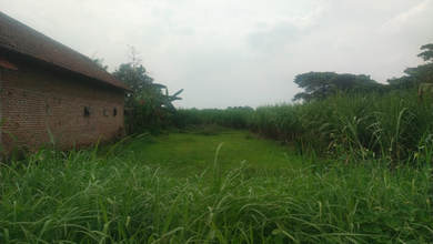 Dijual Kavling 3948 m2 di Cluster Mewah Trowulan