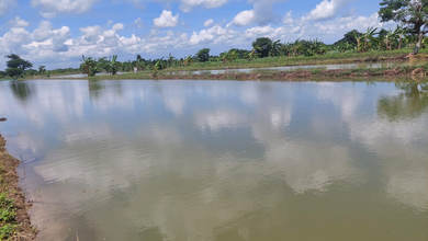 Jual Tanah Kawasan Komplek Turi View Danau dan Taman