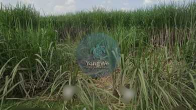 Dijual Tanah Eksklusif di Jetis, Mojokerto, LT 5200m²