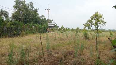 Jual Tanah di Lokasi Premium Dlanggu, Mojokerto, Harga 1,07 Miliar