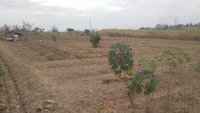 Kavling Prestisius Dijual di Driyorejo, Gresik, Harga 56,2 Triliun