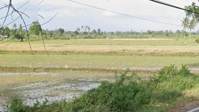 Dijual Tanah Eksklusif di Lombok, Badung, LT 18000m²