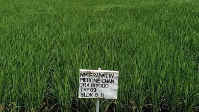 Jual Tanah Minimalis di Area Menganti, Gresik