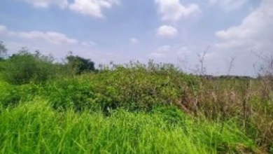 Jual Tanah Minimalis di Area Mojokerto, Mojokerto