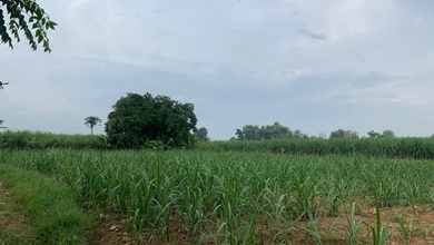 Jual Tanah Terjangkau di Area Gresik Kota, Gresik