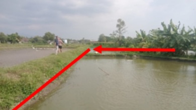 Dijual Tanah Terjangkau di Kediri, Kediri, LT 1026m²