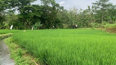 Jual Tanah Minimalis di Area Karang Anyar, Surakarta