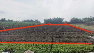 Tanah Harga Hemat di Mojokerto, Mojokerto, Harga 287 Juta