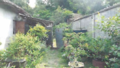 Investasi Tanah Murah di Mojokerto, Mojokerto, Luas 214m²