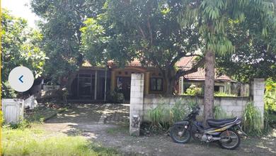 Rumah Minimalis Harga Hemat di Gresik Kota, Gresik, LB 343m²