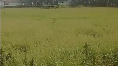 For Sale Tanah Premium di Padangan, Bojonegoro, LT 3587m²