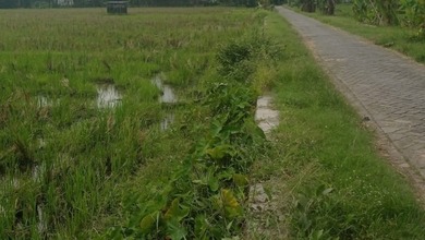 Tanah Luas 5933 m2 Area Strategis Padangan, Dijual Murah