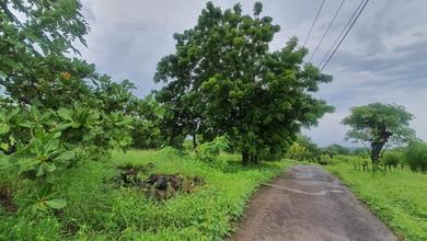 For Sale Tanah Eksklusif di Karangasem, Karangasem, LT 22000m²