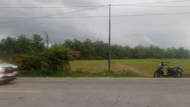 Tanah Dekat Pasar Kawasan Padangan, Cocok untuk Mendirikan Usaha