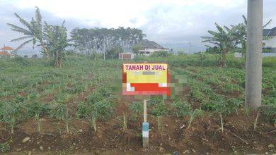 Jual Tanah Area Cluster Lawang Pemandangan Danau dan Taman