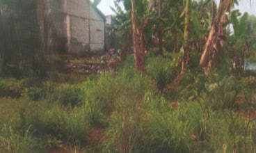 Dijual Tanah Premium di Ciseeng, Bogor, LT 12975m²