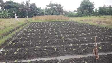 Dijual Tanah Eksklusif di Abiansemal, Badung, LT 1370m²