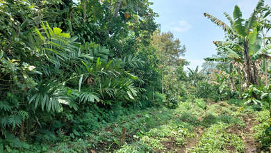 Tanah Elit Dijual di Lawang, Malang, Harga 6,85 Triliun