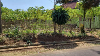 Dijual Tanah Premium di Cijeruk, Bogor, LT 19187m²