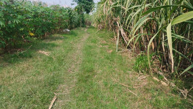 Promo Tanah Harga Ekonomis di Kemlagi, Mojokerto