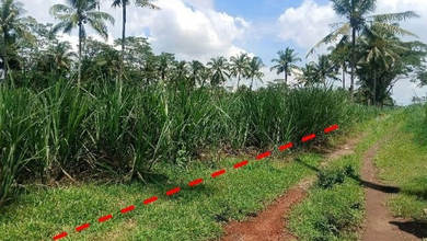 Dijual Tanah Premium di Turen, Malang, LT 2636m²